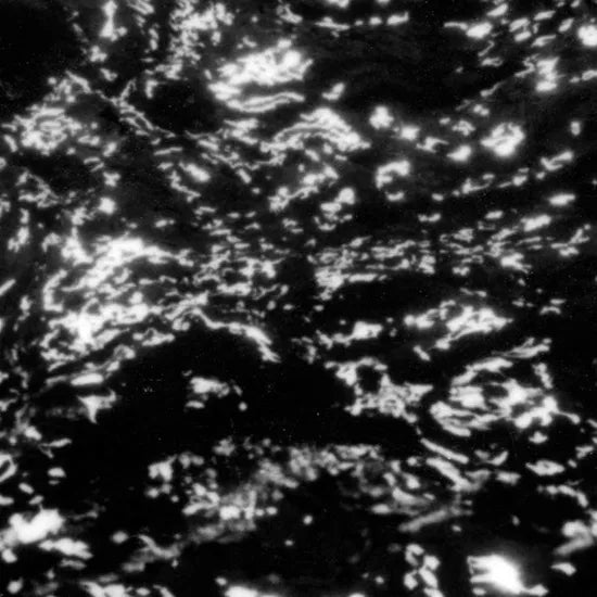 GROUPER - A I A  DREAM LOSS