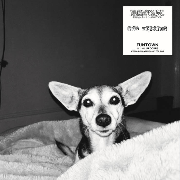 FUNTOWN - NAD VERSION (2X12")