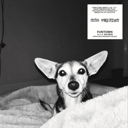 FUNTOWN - NAD VERSION (2X12")