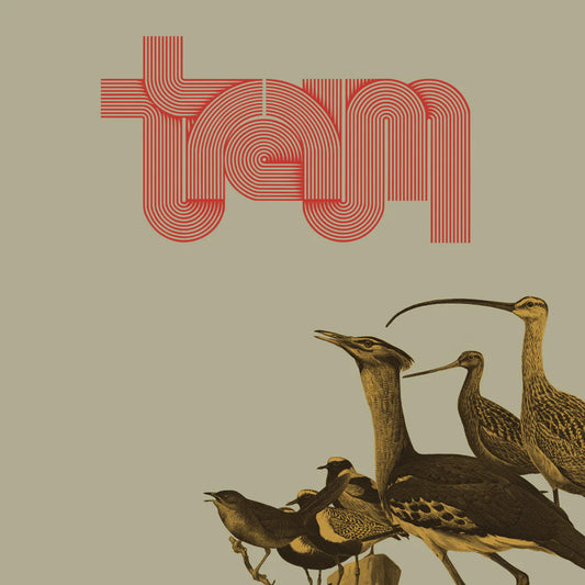 Traum - Traum [CD]