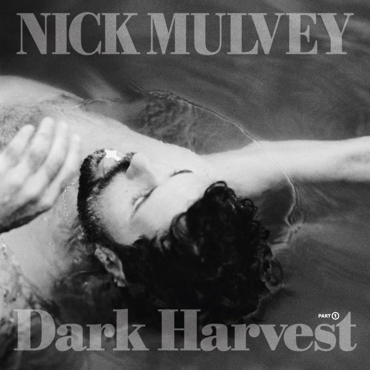 Nick Mulvey - Dark Harvest Pt. 1 [Silver Vinyl]