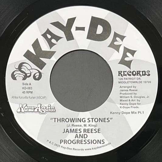 James Reese & The Progressions - Throwing Stones (Kenny Dope Mixes) [7" Vinyl]