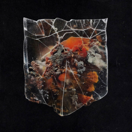 Shields - Death & Connection [splattered milk/black orange vinyl]