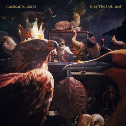 Trashcan Sinatras - Ever The Optimist [CD]