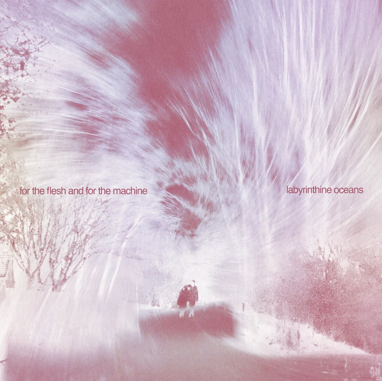 labyrinthine oceans - for the flesh and for the machine [CD]