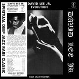 David Lee Jr. - Evolution [Magenta coloured vinyl]