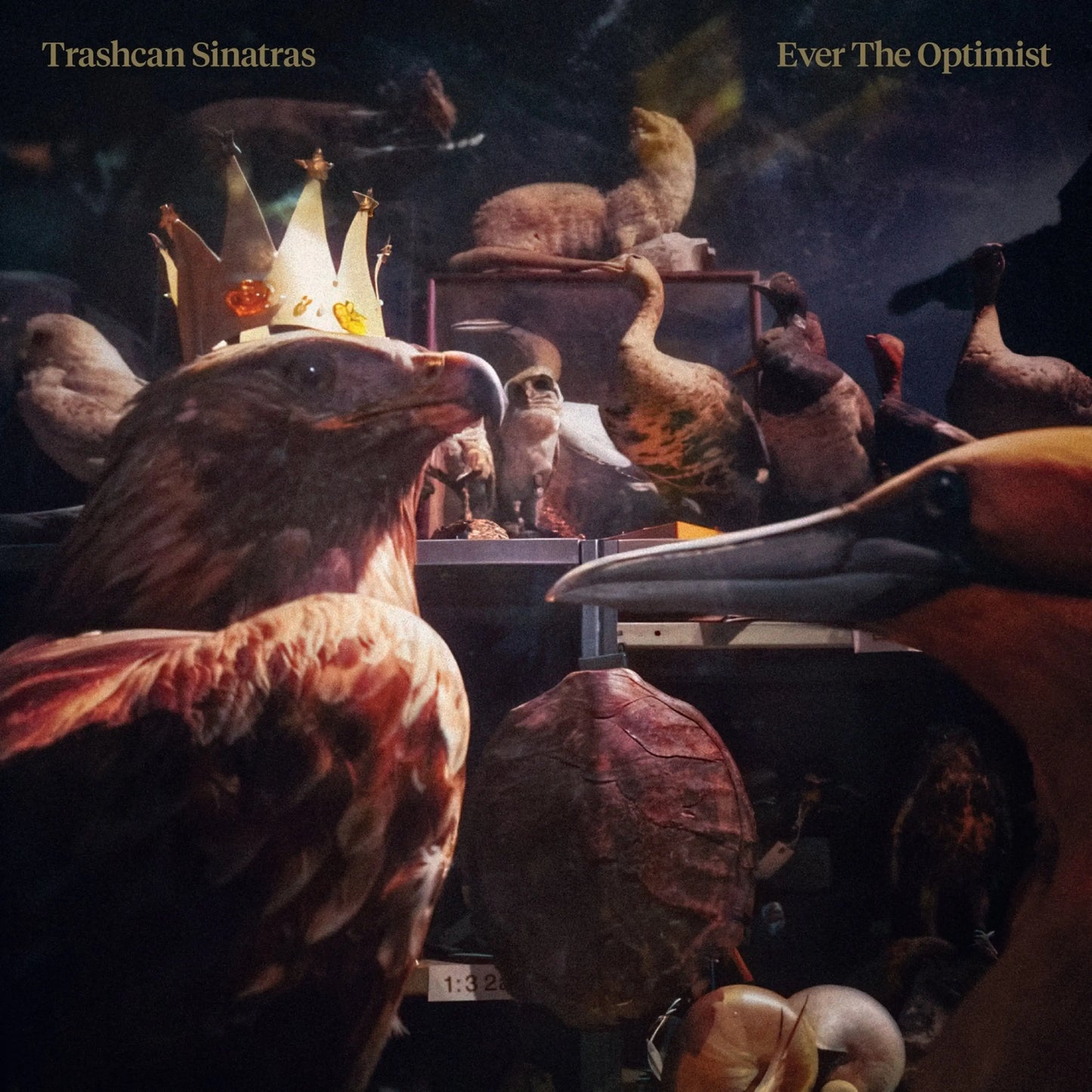 Trashcan Sinatras - Ever The Optimist [LP]