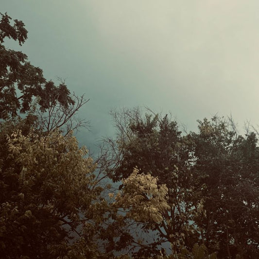 ZAKE - Lowland: In Three [Cassette]