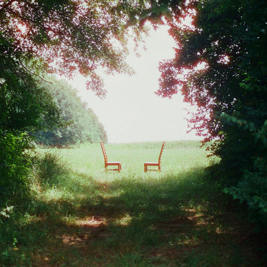 Ratboys - Singin' to an Empty Chair [2LP]