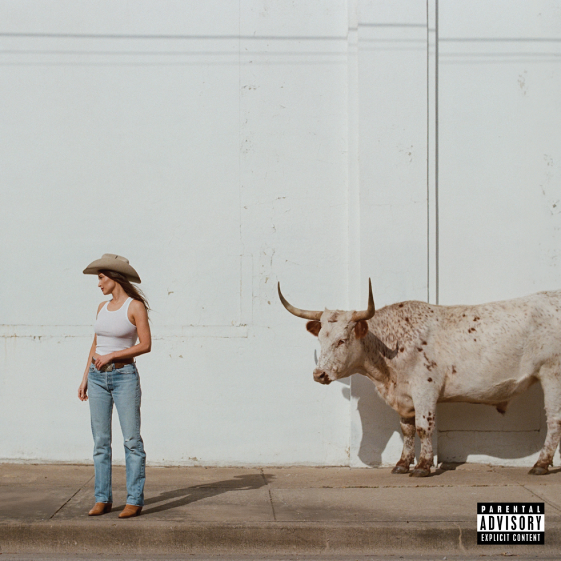 Kacey Musgraves - Middle of Nowhere [RODEO CLOWN MIX LP]