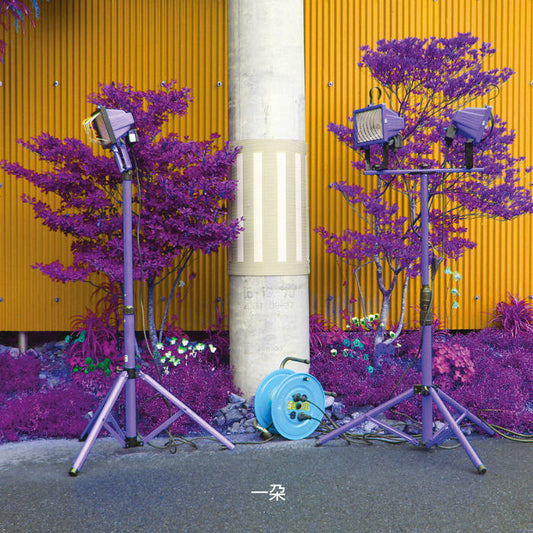 Eiko Ishibashi and Darin Grey - Ichida