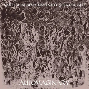 NATURAL INFORMATION SOCIETY & BITCHIN BAJAS - AUTOMAGINARY