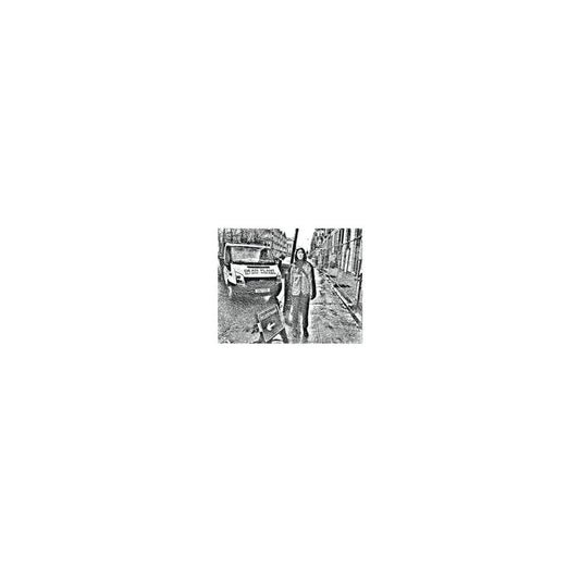 Still House Plants - Still House Plants [10" Single]