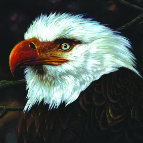 MOGWAI - THE HAWK IS HOWLING [CD]