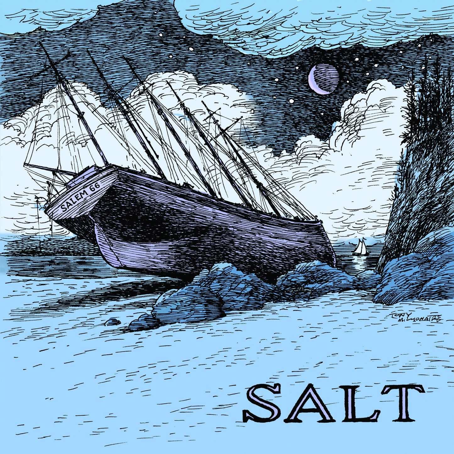 Salem 66 - SALT [CD]