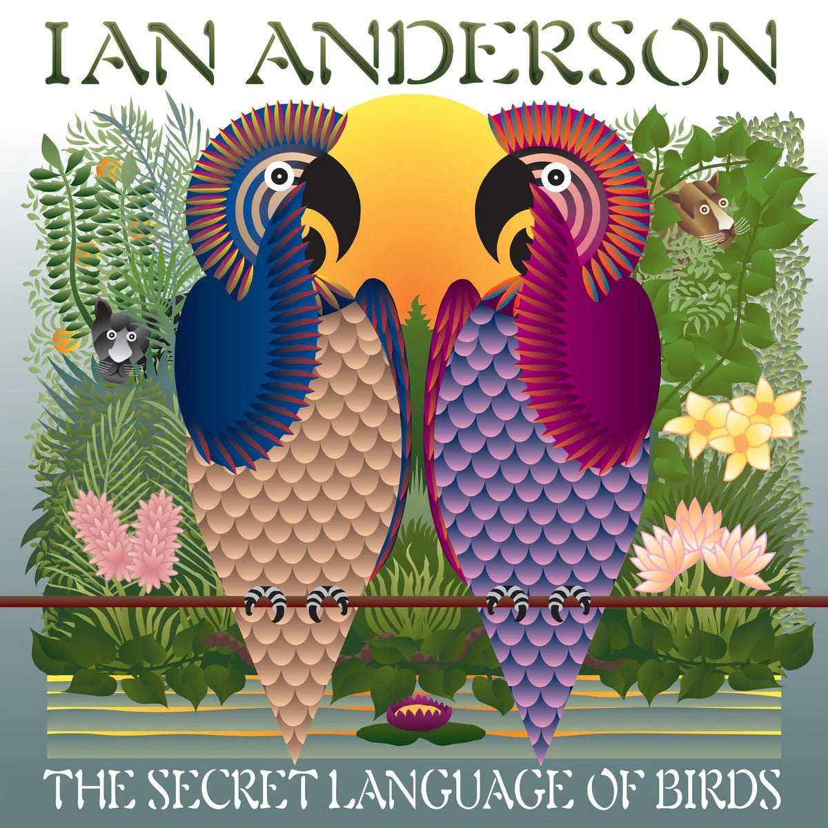 Ian Anderson - The Secret Language Of Birds [2LP - D- Side Etched]