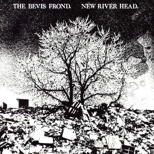 The Bevis Frond - New River Head [2LP]