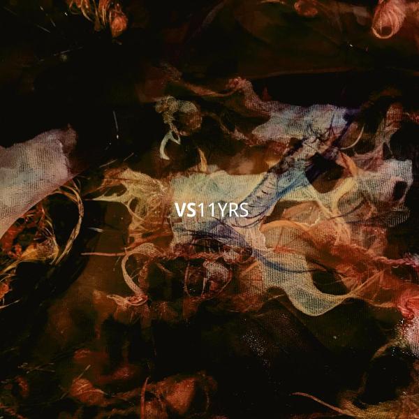 Various Artists - Vault Sessions 11 Years [full colour box-set / printed sleeves / 180 grams]