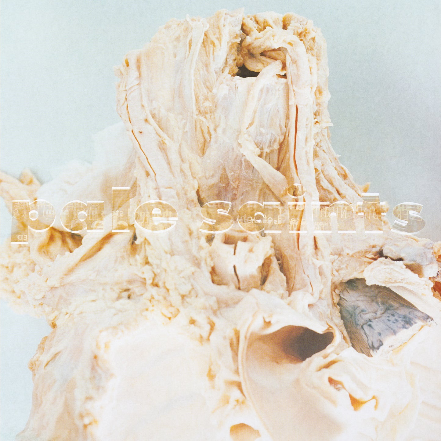 Pale Saints - “In Ribbons” (Expanded 30th Anniversary Reissue) [Black Vinyl Repress]