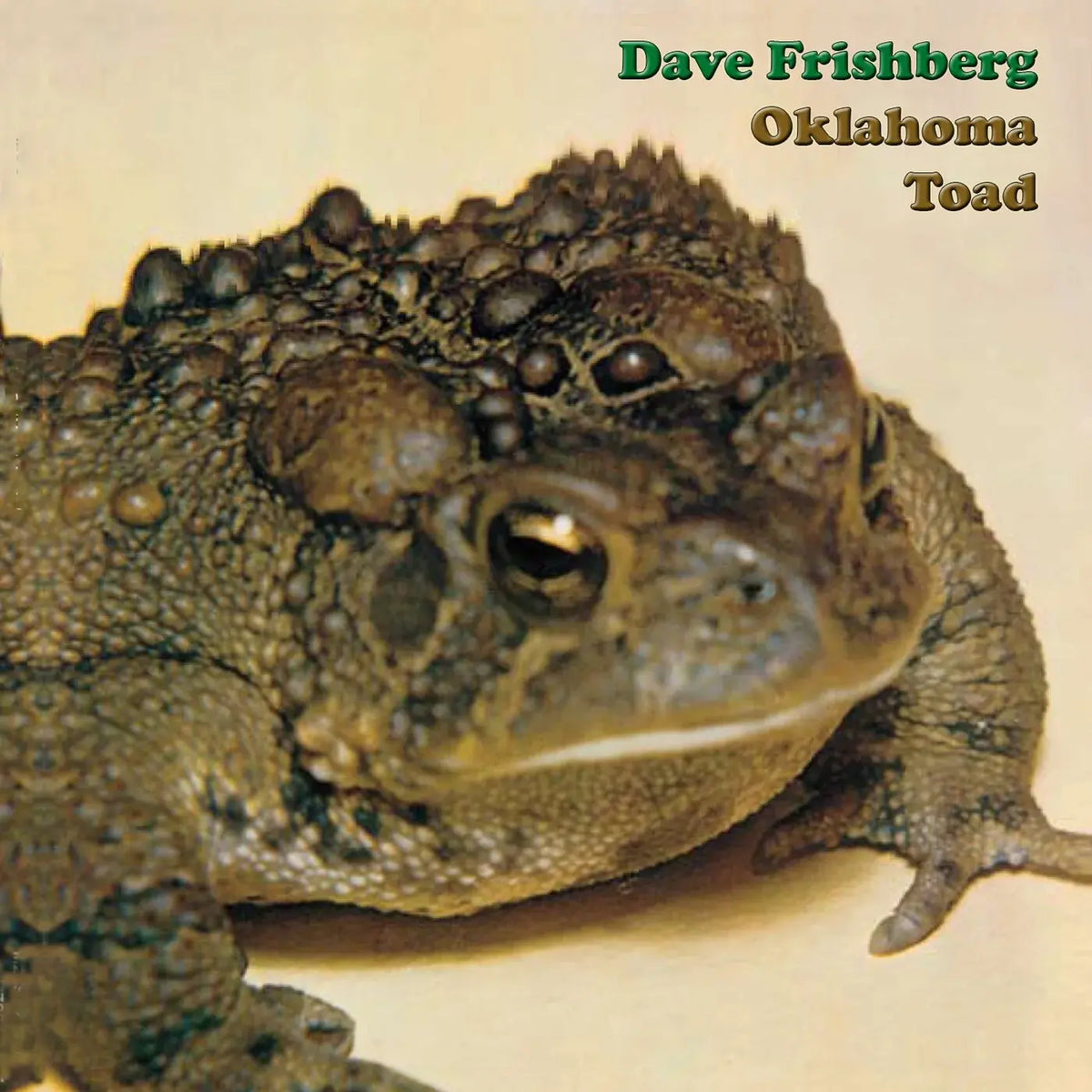 Dave Frishberg - Oklahoma Toad [2026 Reissue w/Bonus 7"]