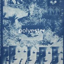 Radio Free Alice - Polyester