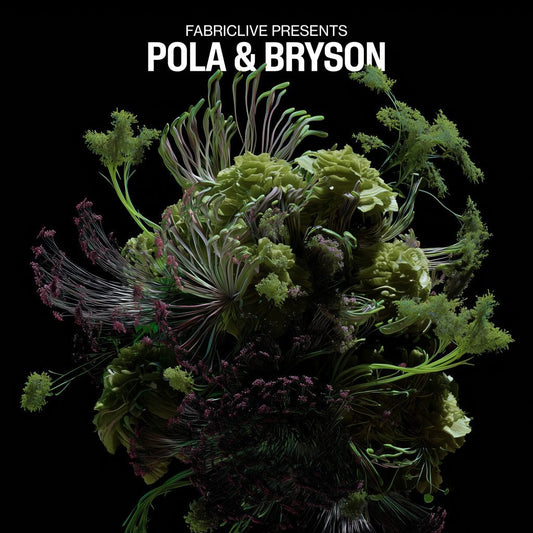 Pola & Bryson - FABRICLIVE presents Pola & Bryson [2LP]