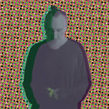 Fink - Beauty In Your Wake Acoustic [LP Colour]