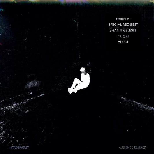 Hayes Bradley - Audience (Remixed)