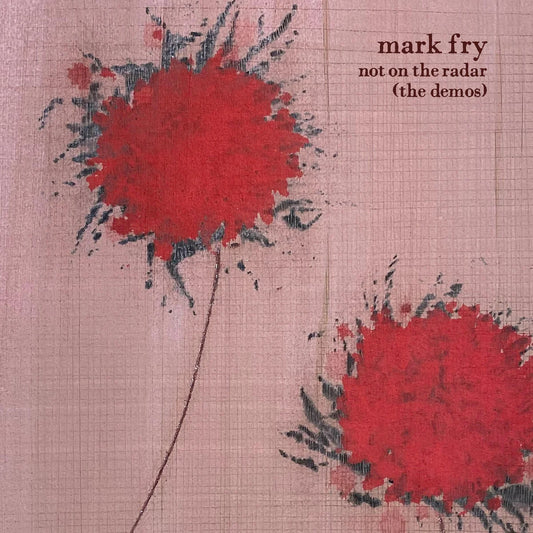 Mark Fry - Not On The Radar (The Demos)