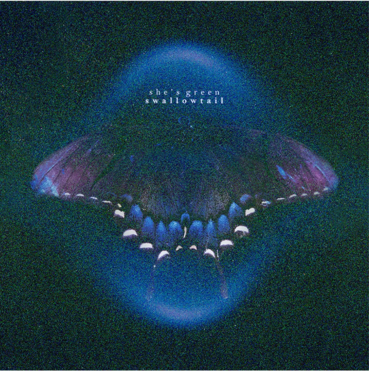 She's Green - Swallowtail / Chrysalis [Iridescent White 2LP]