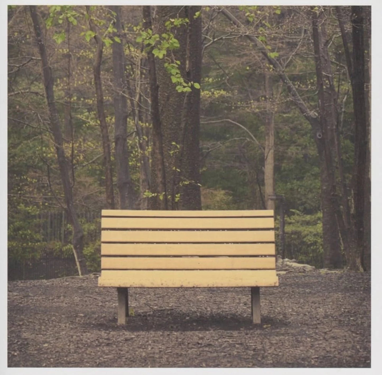 Streetlight Manifesto - The Hands That Thieve [2LP Clear]