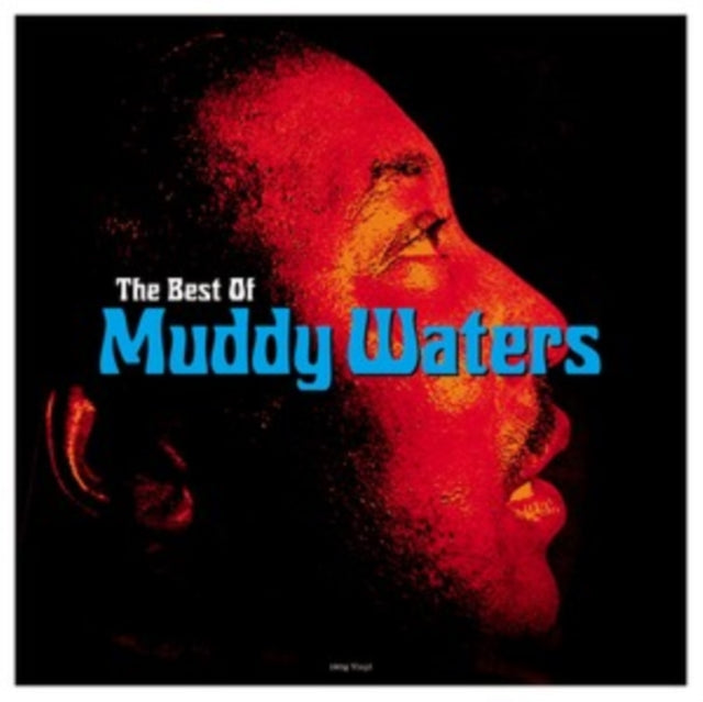 MUDDY WATERS - The Best Of Muddy Waters