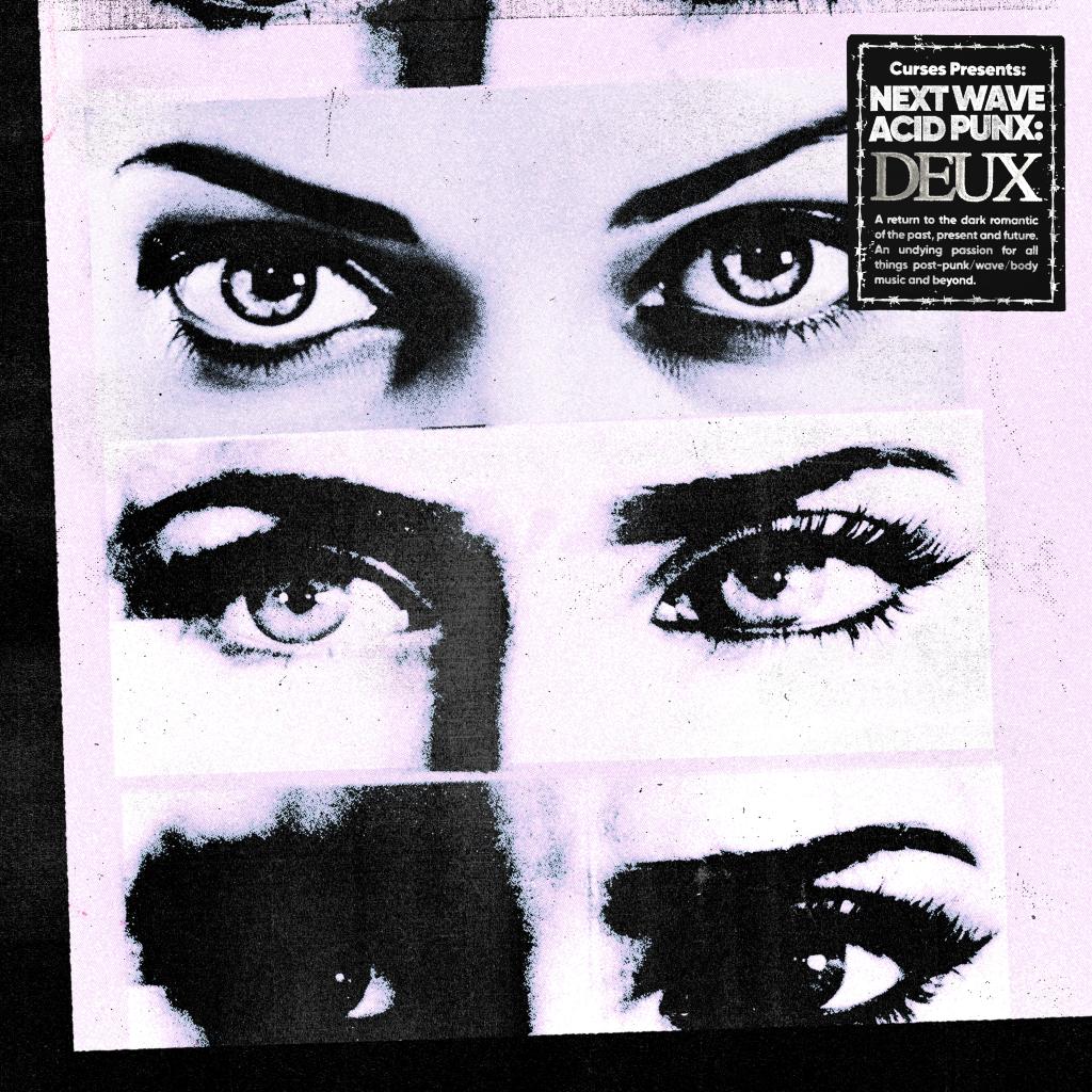 Curses - Presents : Next Wave Acid Punx : DEUX [3CD]