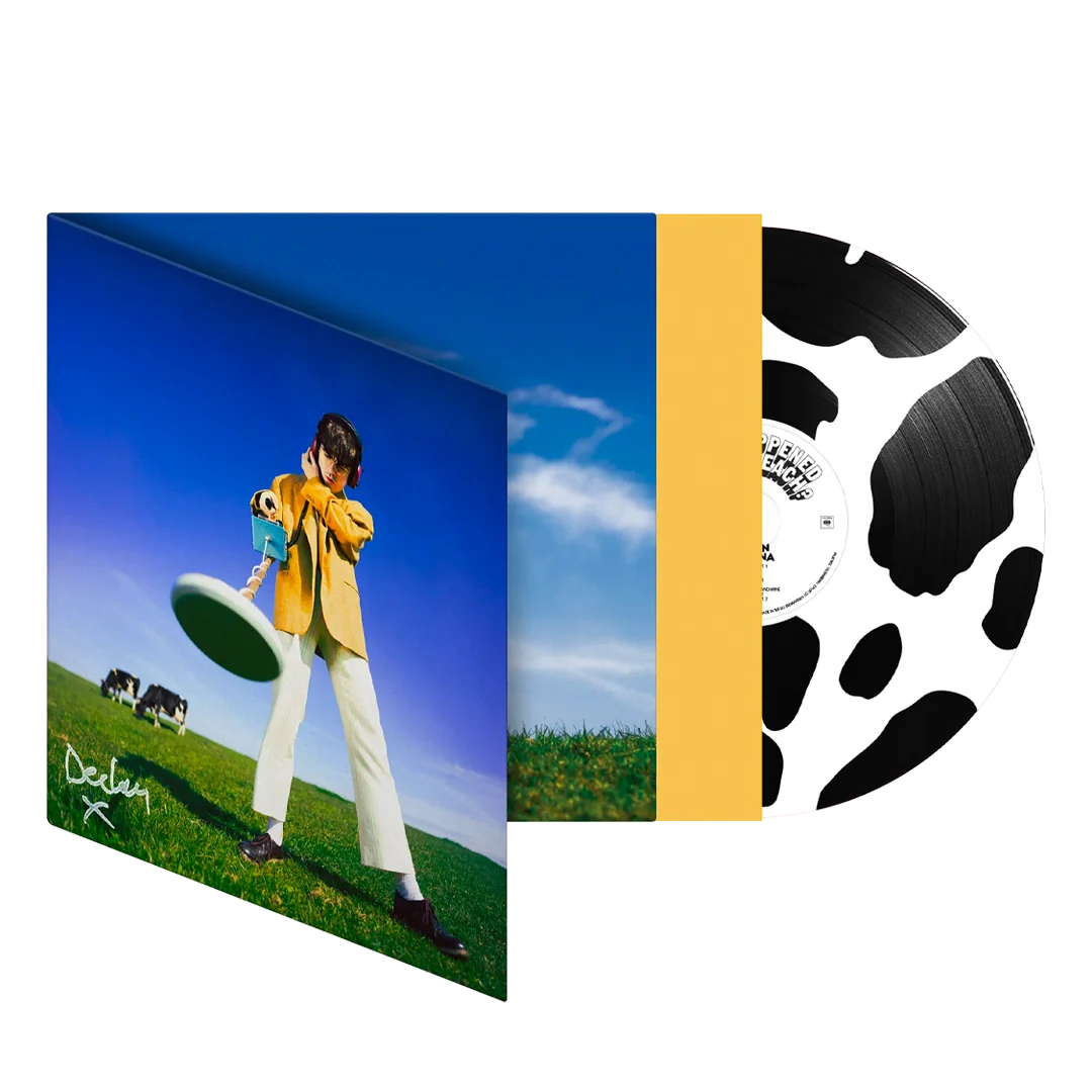 Declan McKenna - What Happened to the Beach? [Picture Disc]