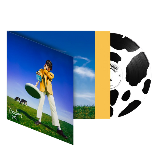 Declan McKenna - What Happened to the Beach? [Picture Disc]