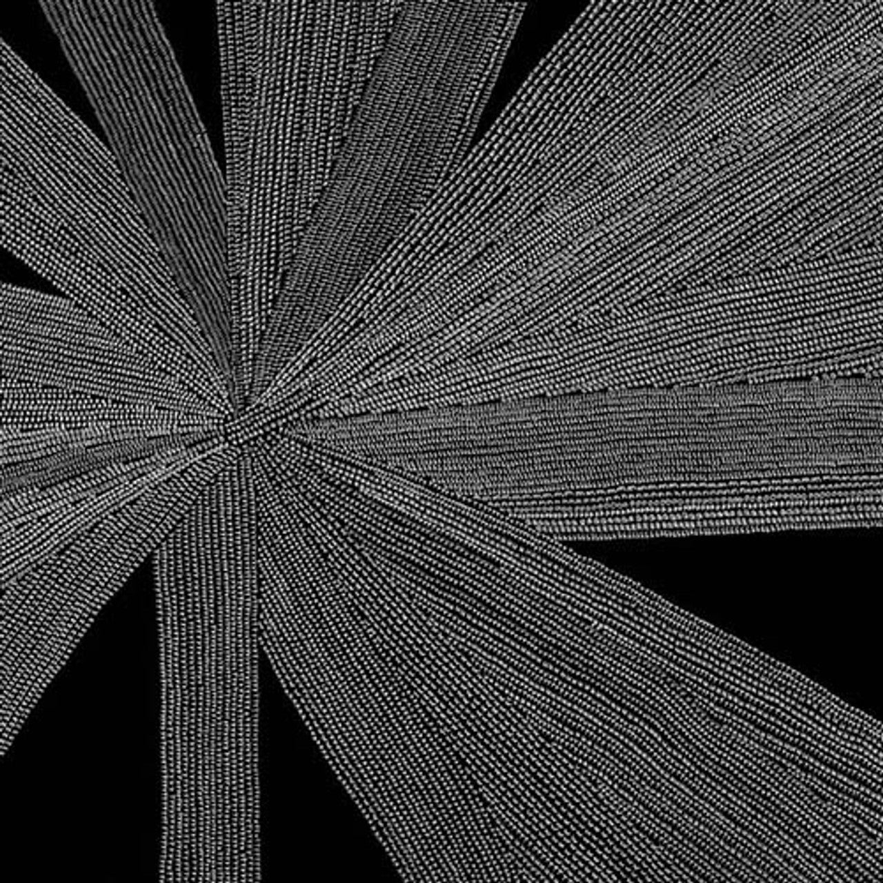 Amina Claudine Myers - Solace of the Mind [transparent vinyl]