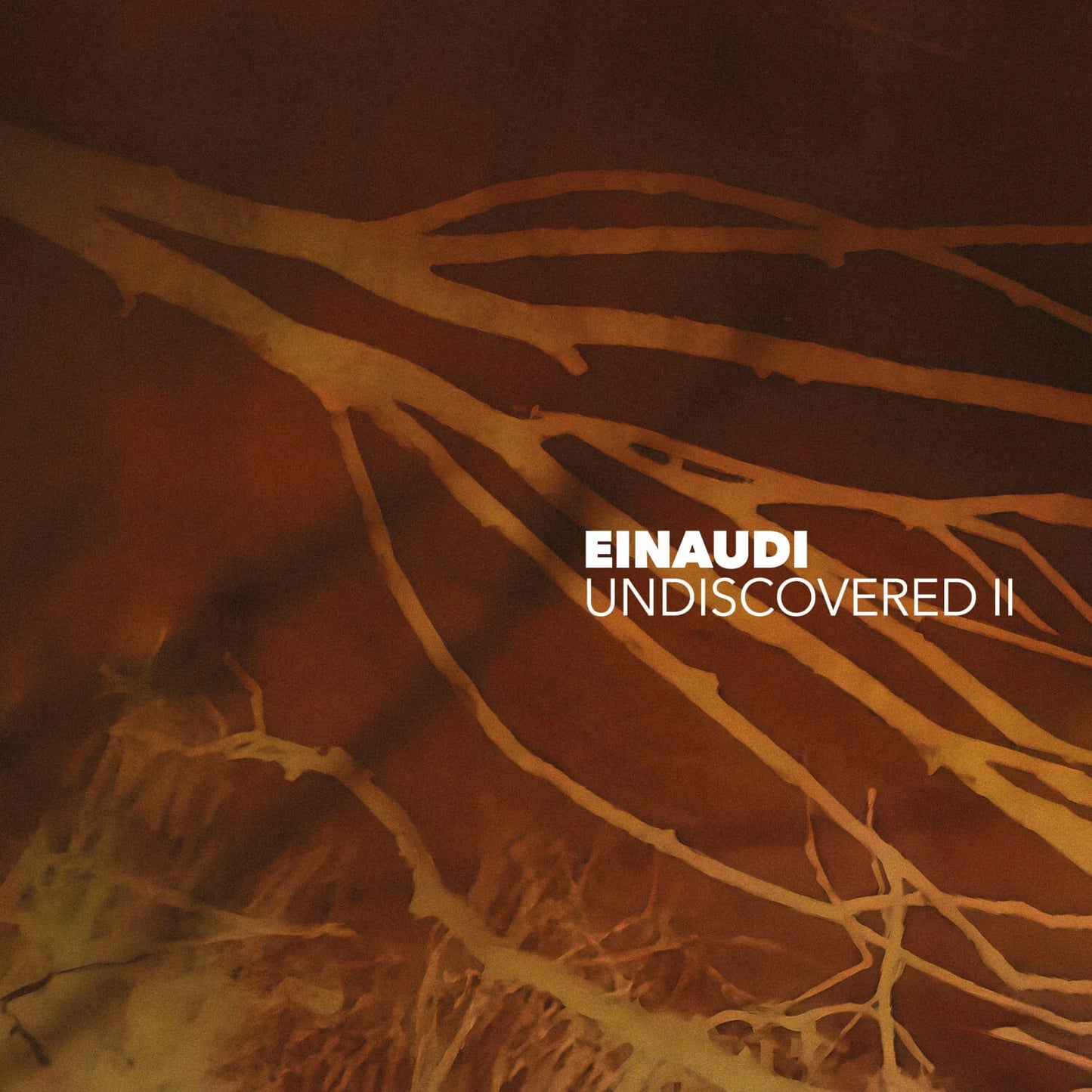 Ludovico Einaudi - Undiscovered Vol.2 [2LP Coloured]