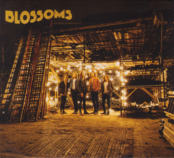Blossoms - Blossoms