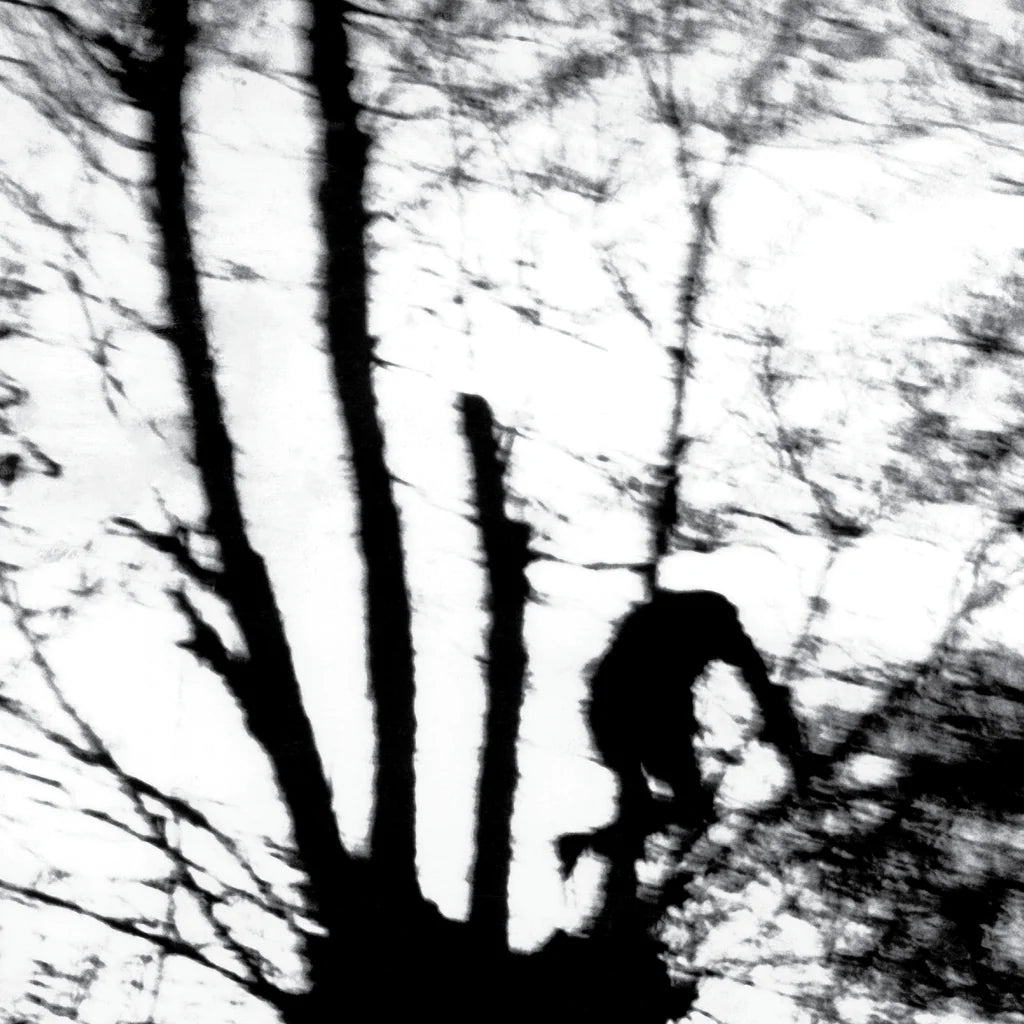 Cindytalk - Camouflage Heart [Transparent Vinyl]