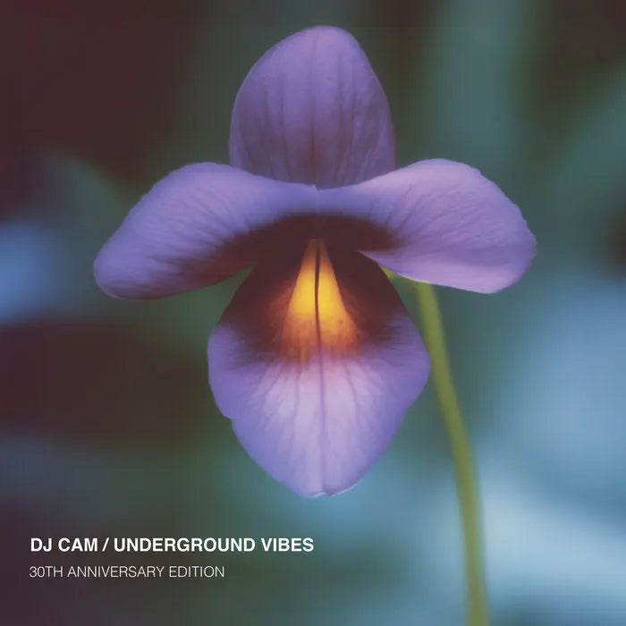 DJ Cam - Underground Vibes (30th anniversary)