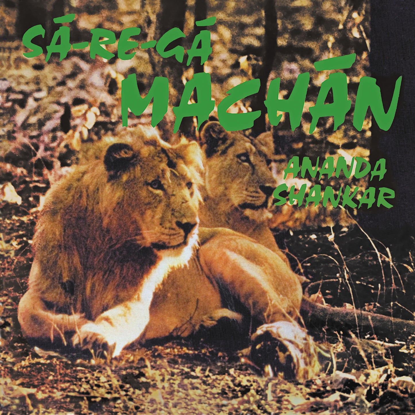 ANANDA SHANKAR - Sa-Re-Ga Machan
