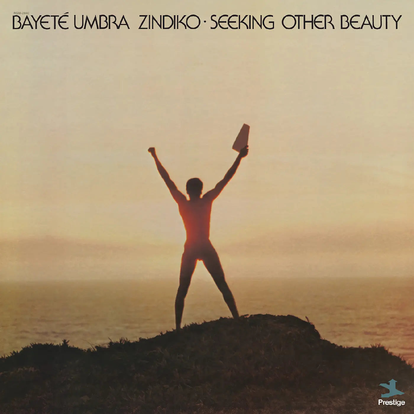 Bayeté Umbra Zindiko - Seeking Other Beauty (All-Analog) [Coloured Vinyl]