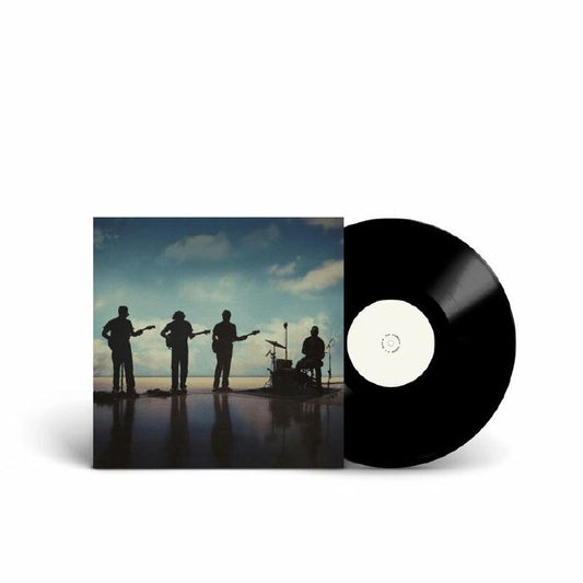 The Fearless Flyers - The Fearless Flyers V