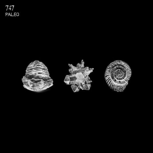747 - Paleo [Printed Sleeve]