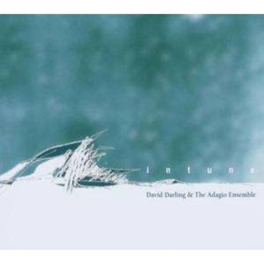 David Darling - Intune [CD]