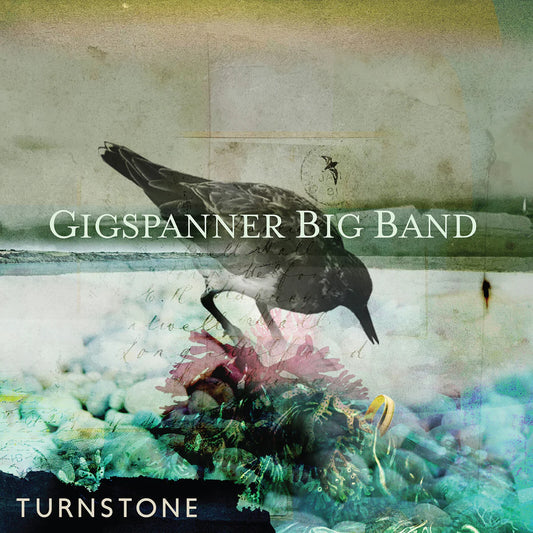 Gigspanner Big Band - Turnstone [CD]