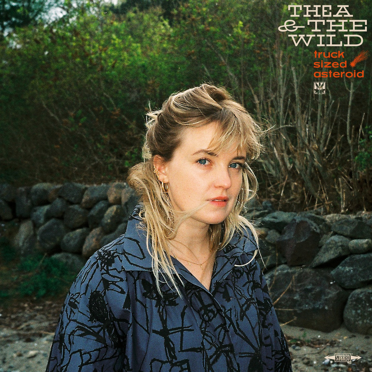 Thea & The Wild - Truck Sized Asteroid [LP]