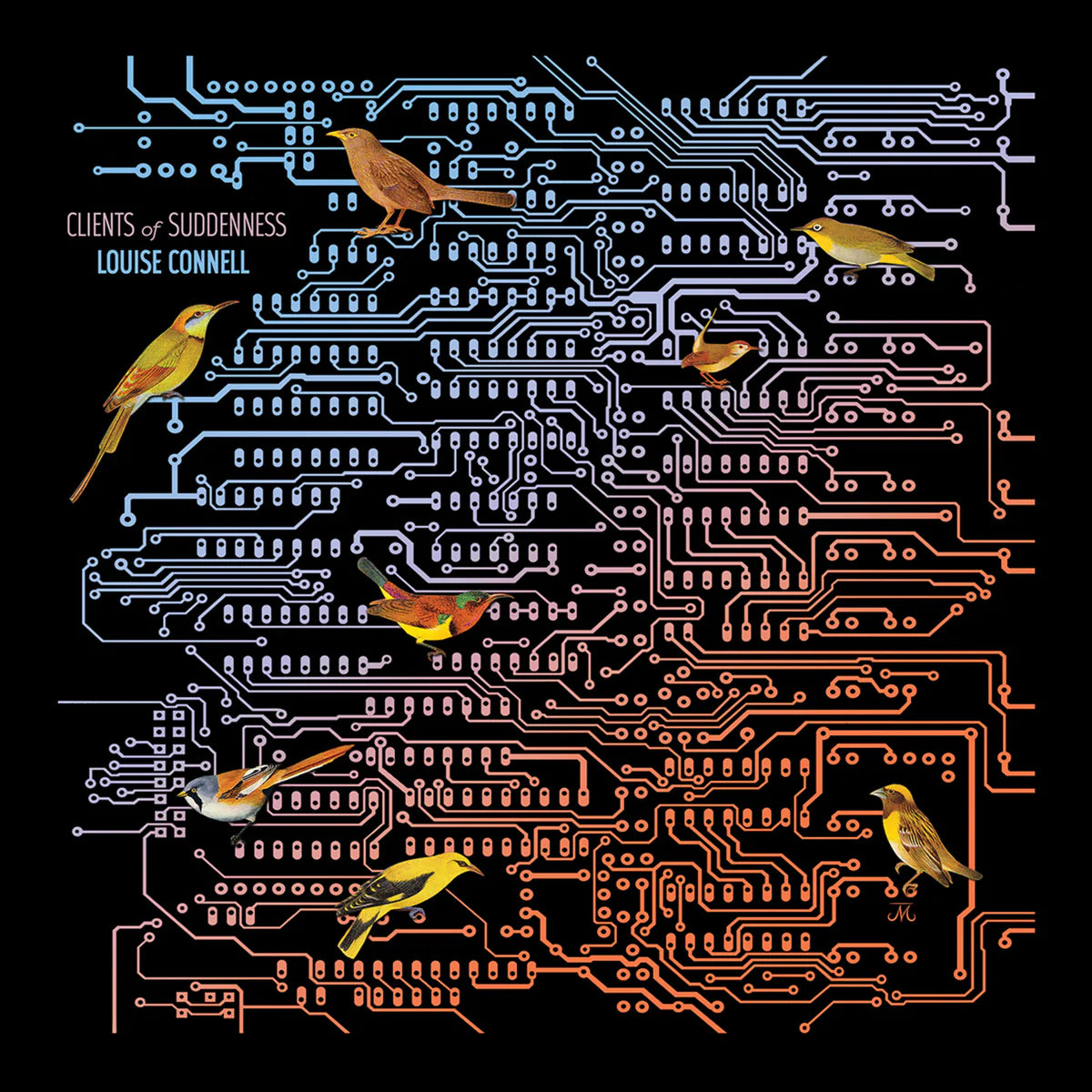 Louise Connell - Clients of Suddenness [LP]