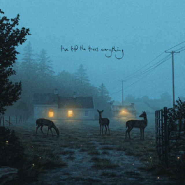 Dermot Kennedy - I've told the trees everything [Coloured Vinyl]