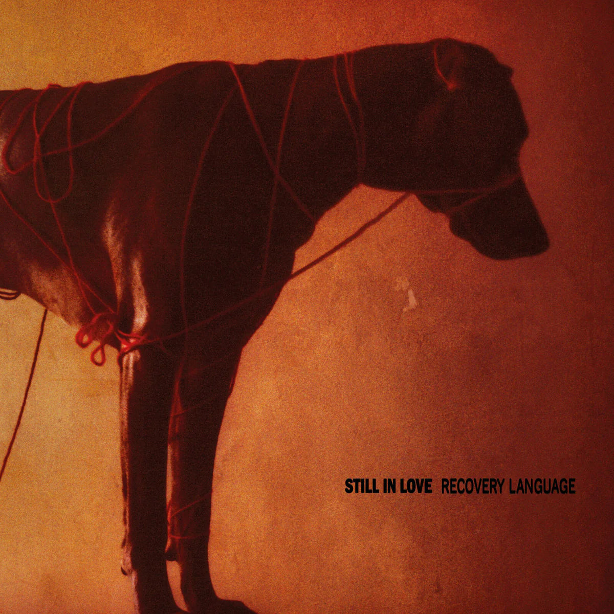 Still In Love - Recovery Language [CD]